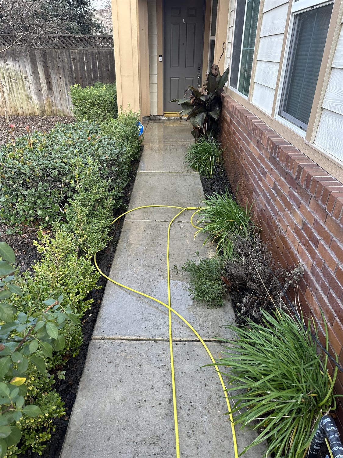 Same concrete walkway bright and clean after pressure washing by Rynse Cleaning